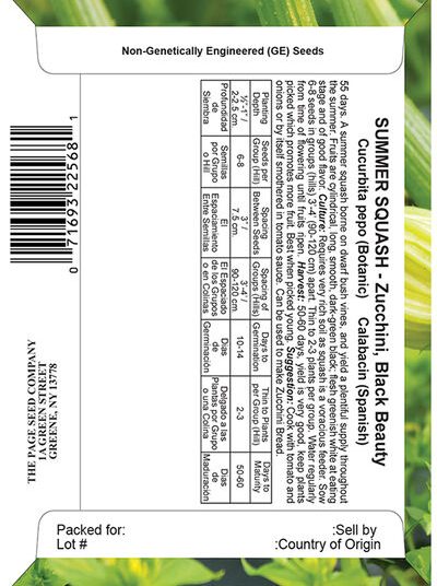 Summer Squash, Zucchini Black Beauty