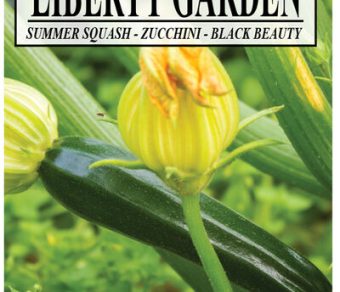 Summer Squash, Zucchini Black Beauty