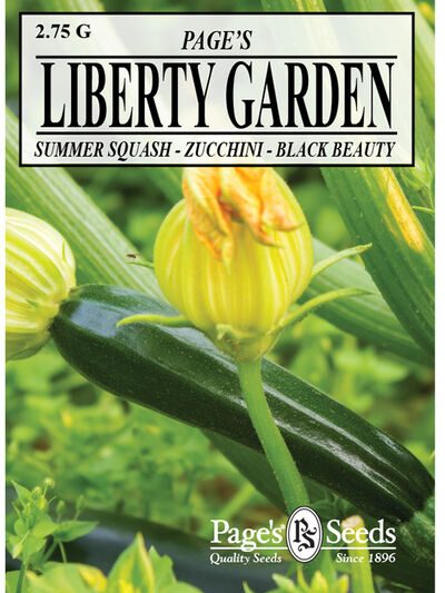 Summer Squash, Zucchini Black Beauty