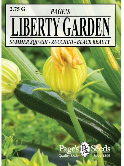 Summer Squash, Zucchini Black Beauty