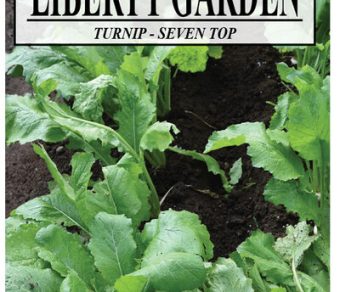 Turnip, Seven Top