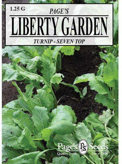 Turnip, Seven Top