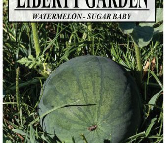 Watermelon, Sugar Baby