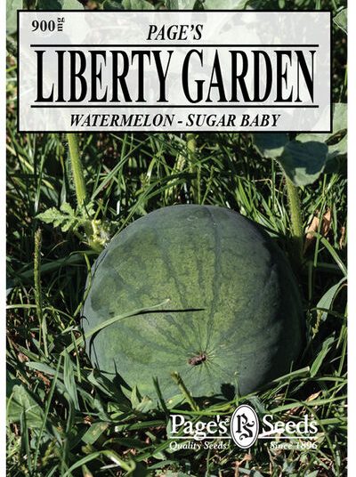 Watermelon, Sugar Baby