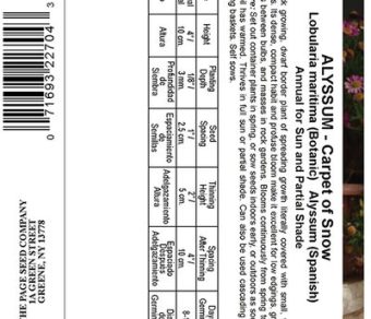 Alyssum Carpet of Snow