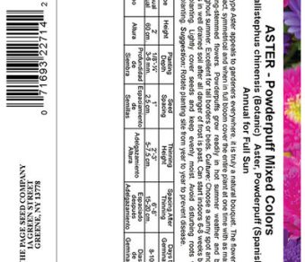 Aster Powderpuff Mixed Colors