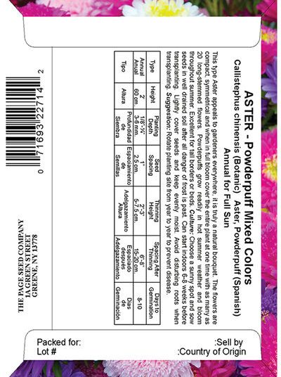 Aster Powderpuff Mixed Colors