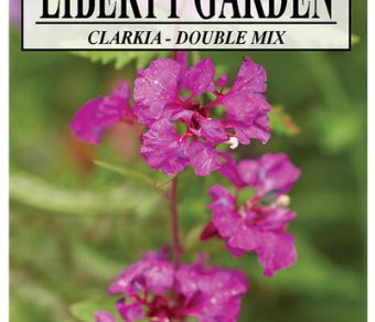 Clarkia Double Mix