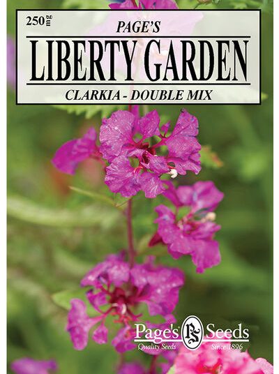 Clarkia Double Mix