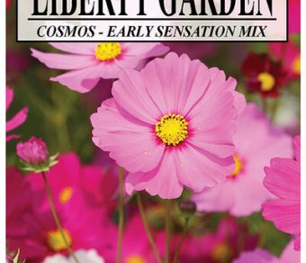 Cosmos Early Sensation