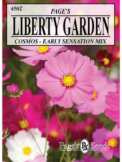 Cosmos Early Sensation