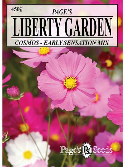 Cosmos Early Sensation