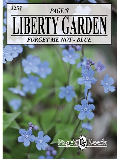 Forget Me Not Blue