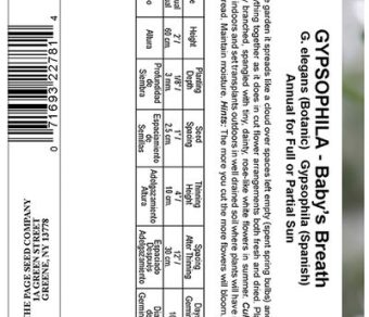 Gypsophila Baby's Breath