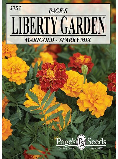 Marigold Sparky Mixed Colors