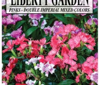 Pinks Double Imperial Mixed Colors