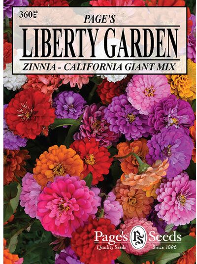 Zinnia California Giant