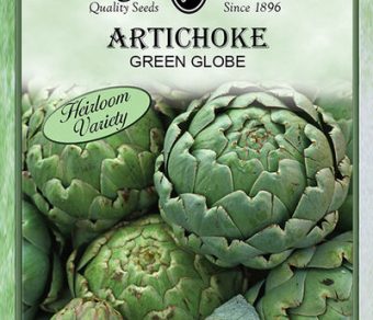 Artichoke Green Globe