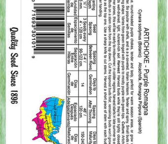 Artichoke Purple of Romanga