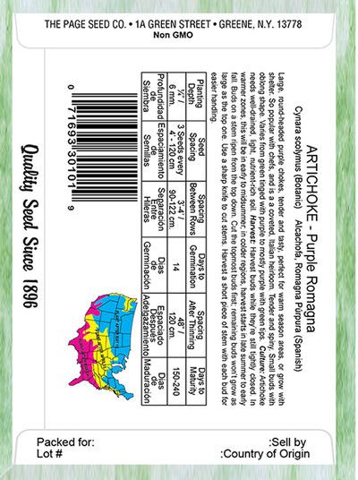 Artichoke Purple of Romanga