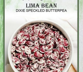 Lima Bean Dixie Speckled Butterpea