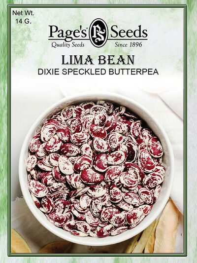 Lima Bean Dixie Speckled Butterpea
