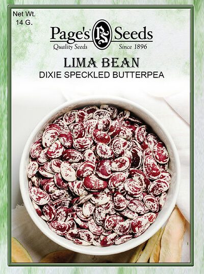 Lima Bean Dixie Speckled Butterpea