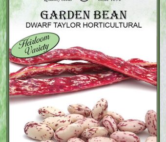 Garden Bean Dwarf Taylor Horticultural