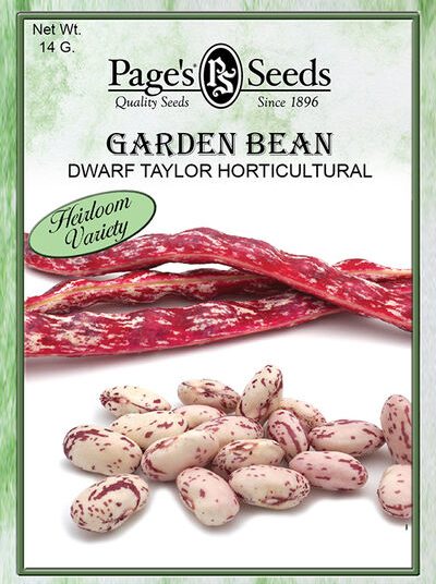 Garden Bean Dwarf Taylor Horticultural