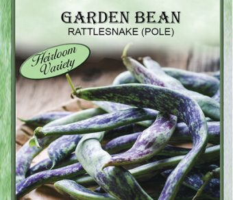 Garden Bean Rattlesnake Pole