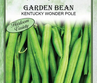 Garden Bean Kentucky Wonder Pole