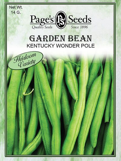 Garden Bean Kentucky Wonder Pole