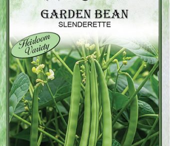 Garden Bean Slenderette
