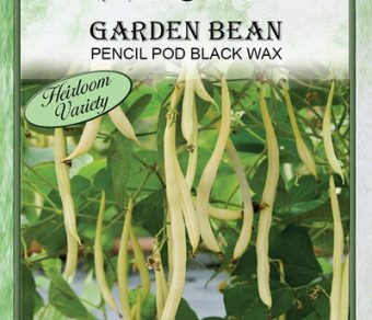 Garden Bean Pencil Pod Black Wax