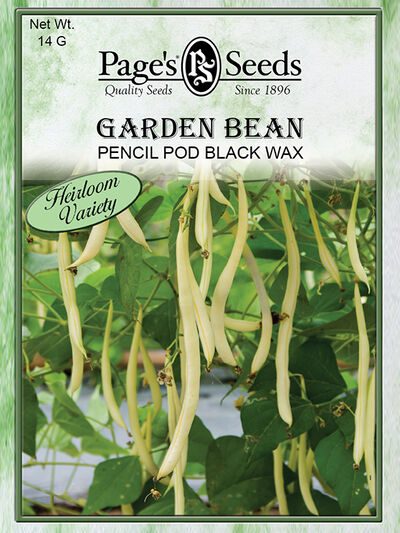 Garden Bean Pencil Pod Black Wax