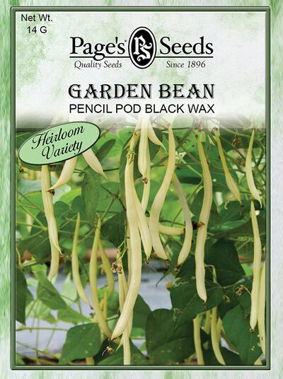 Garden Bean Pencil Pod Black Wax