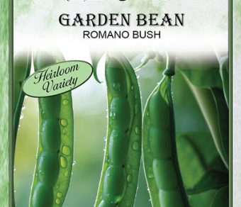 Garden Bean Romano Bush