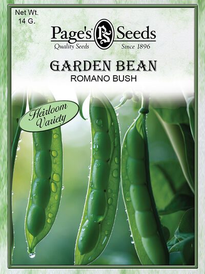 Garden Bean Romano Bush