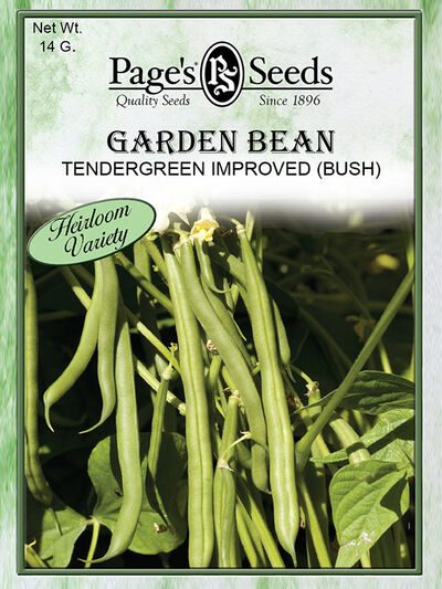 Garden Bean Tendergreen Improved (Bush)