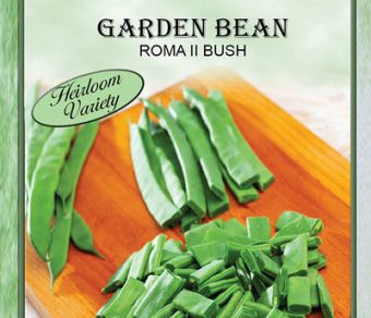 Garden Bean Roma II Bush