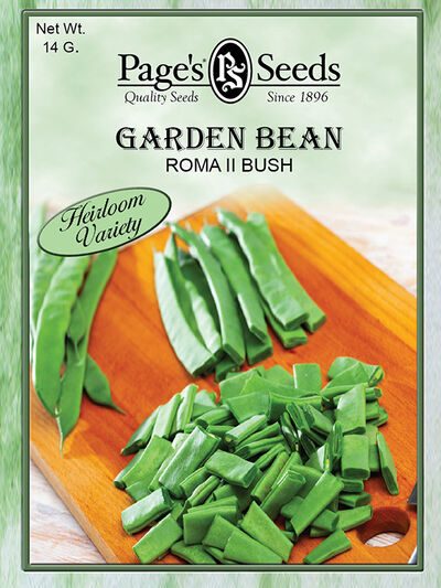 Garden Bean Roma II Bush