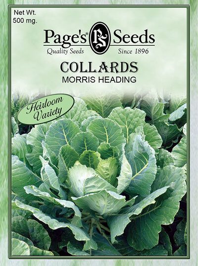 Collards Morris Heading
