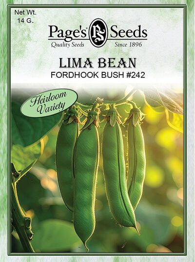 Bean Fordhook Bush #242