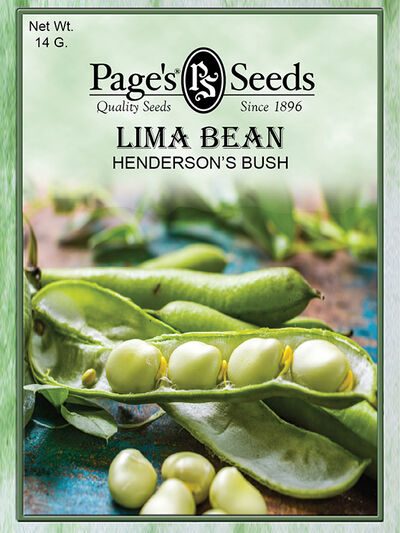 Bean Henderson Bush Lima