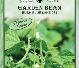 Garden Bean Bush Blue Lake
