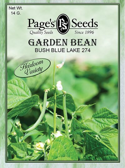 Garden Bean Bush Blue Lake