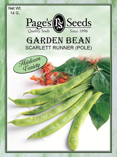 Garden Bean Scarlett Runner (Pole)