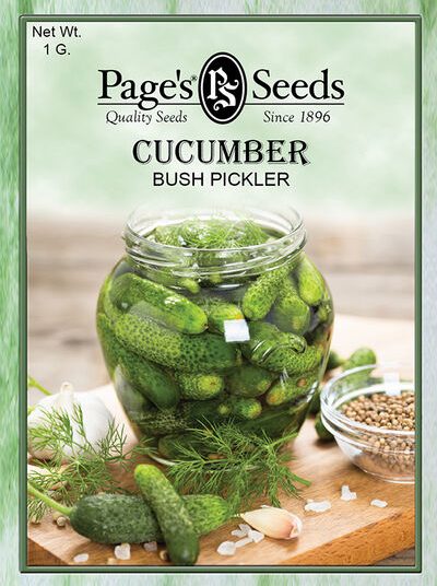 Cucumber Bush Picker