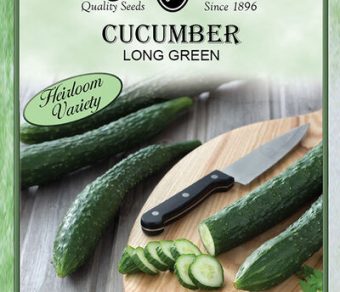 Cucumber Long Green