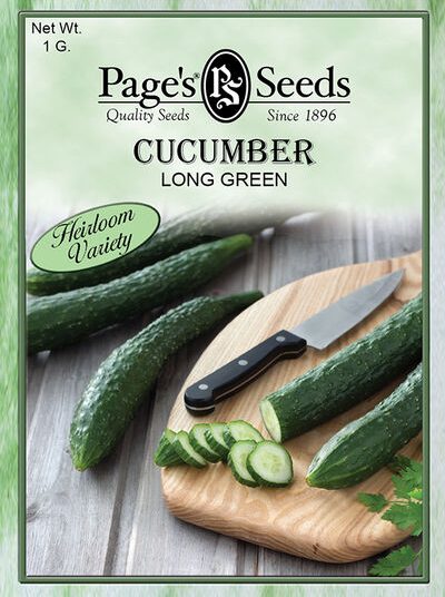 Cucumber Long Green